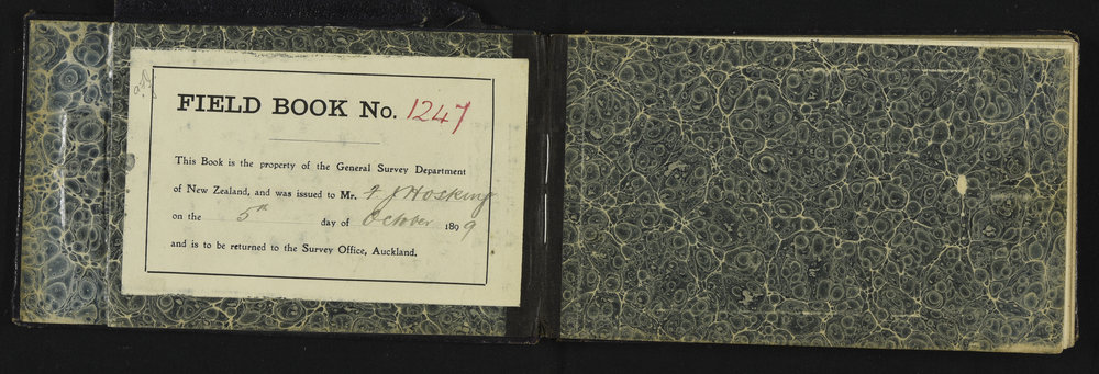 SA_1247-002