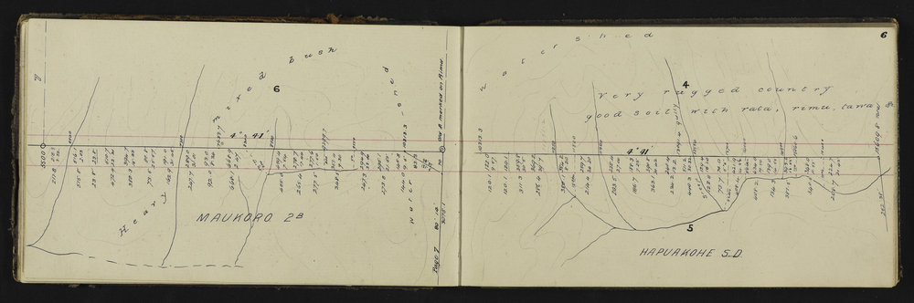 SA_1425-013
