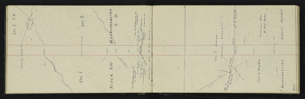 SA_1436-020
