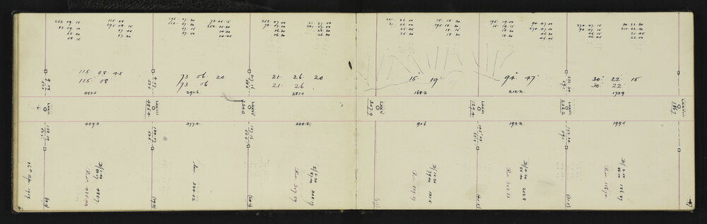 SA_1895-021