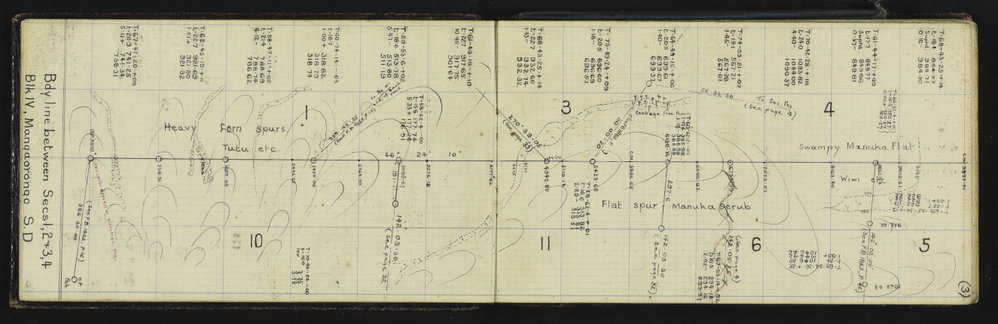 SA_1950-006
