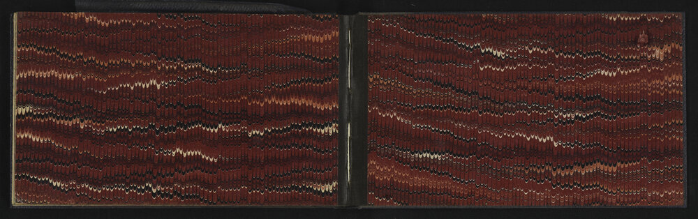 SA_2938-010