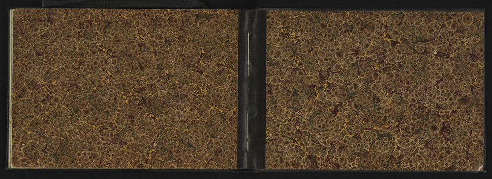 SA_3081-017