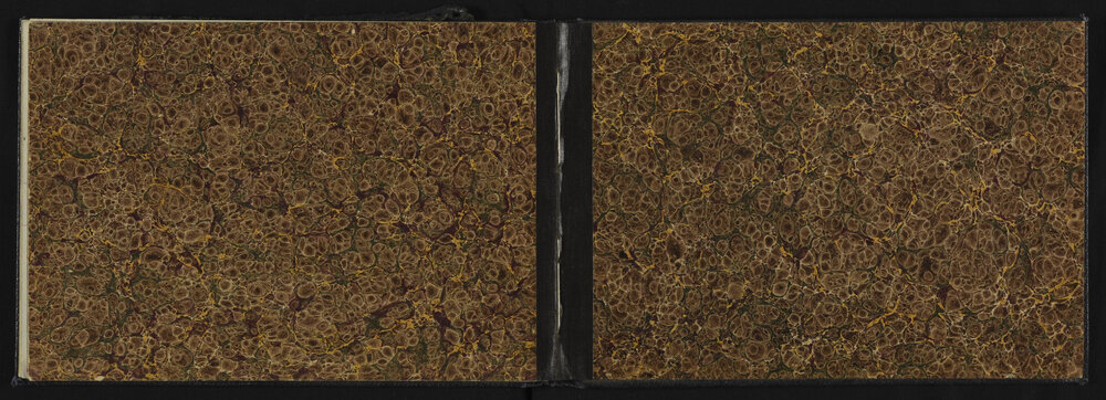 SA_3129-016