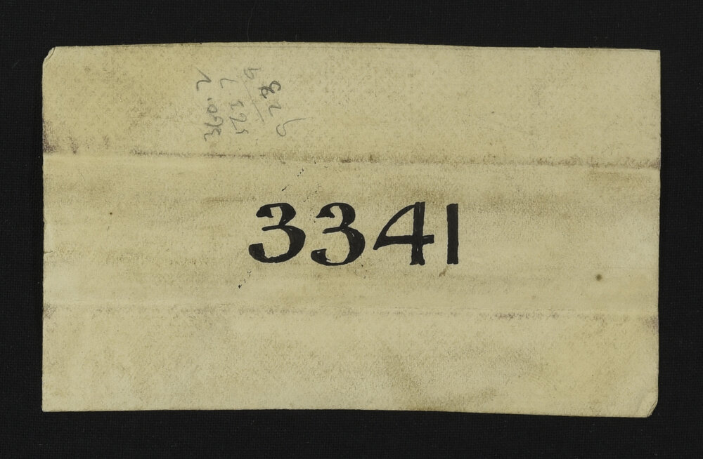 SA_3341-019