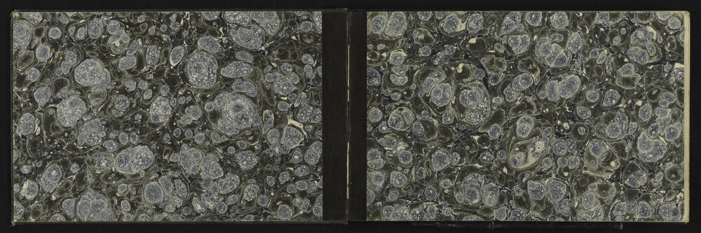 SA_3660-002
