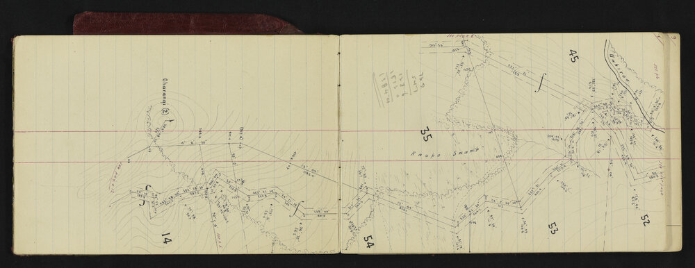 NA_0736-005