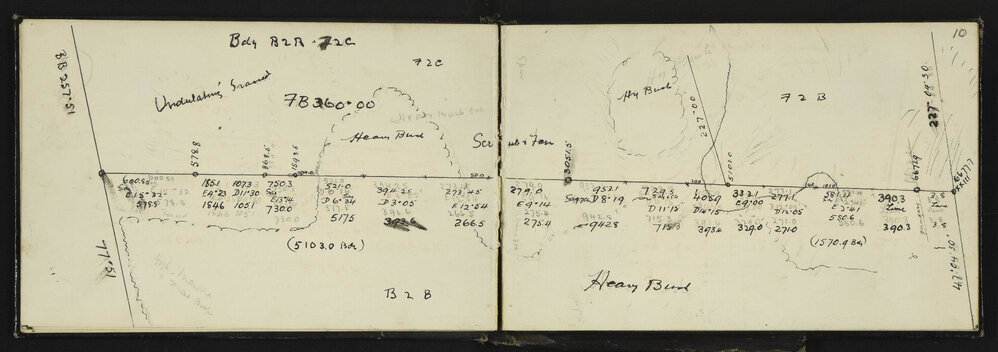 NA_2595-012