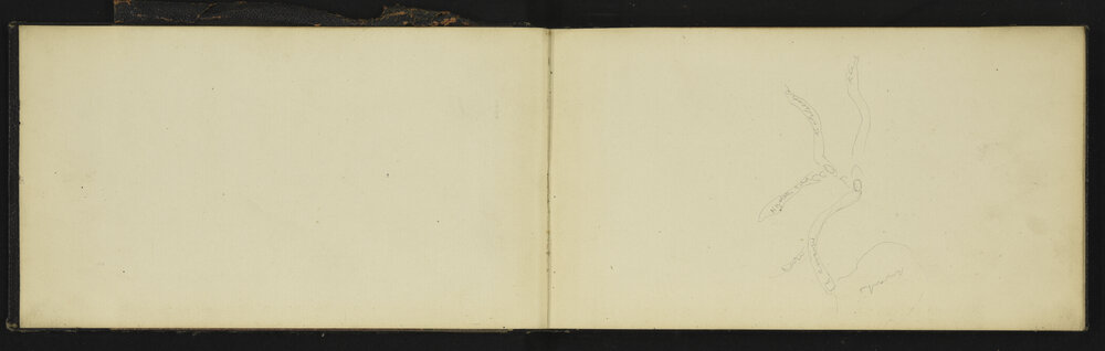 NA_2745-003