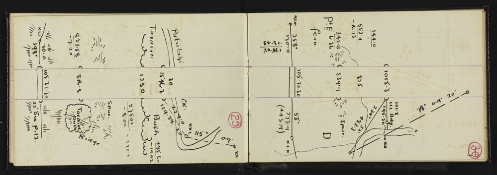 NA_2935-019