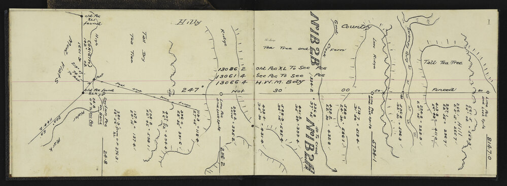 NA_3181-006