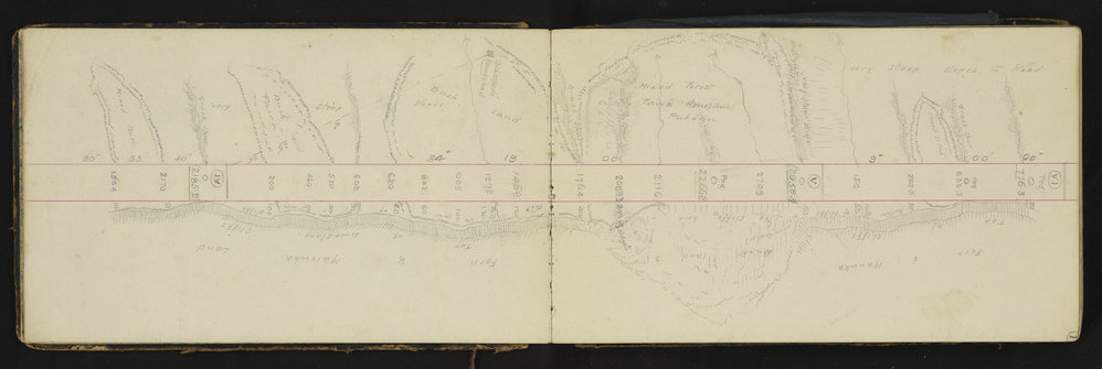 GS_0346-005