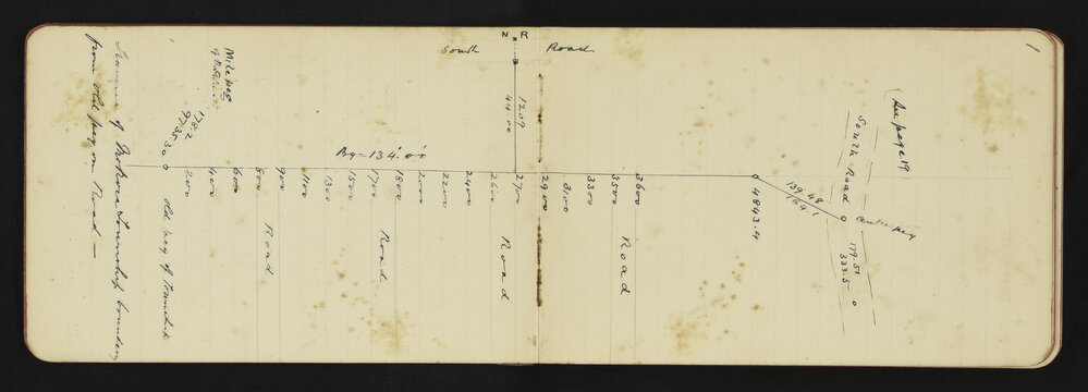 TN_0085-0004