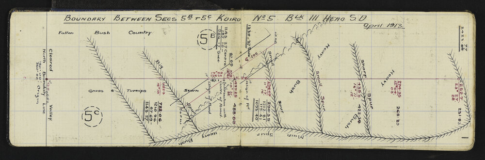 TN_0635-0004
