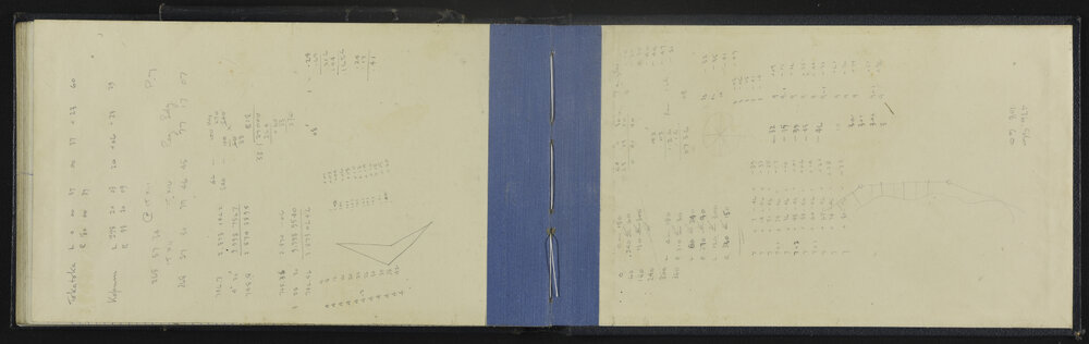 NA_5445-061