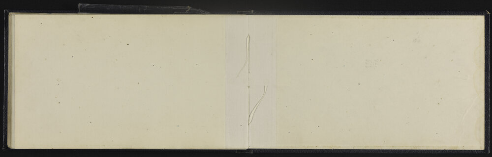 WN_3772-0056