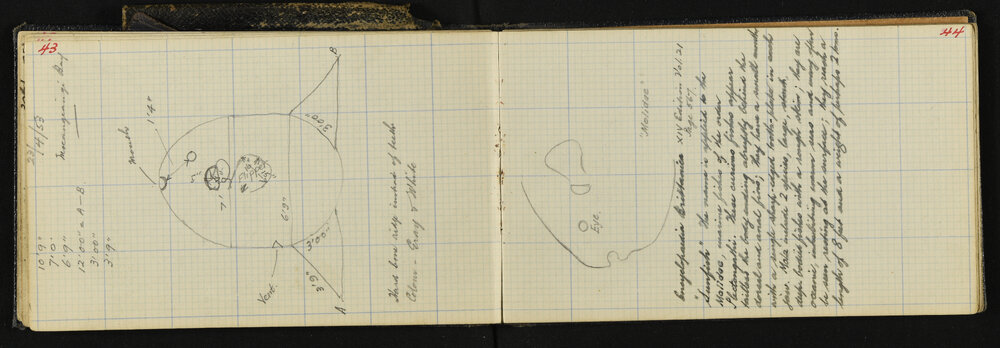 NAP_Unnumbered_C-024