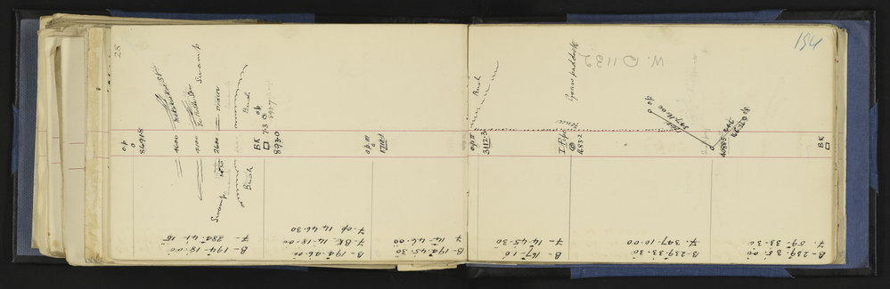WN_1540-0197
