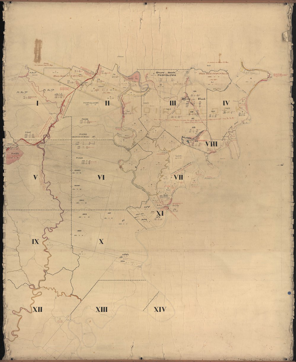 TN_ROLL_0016-2