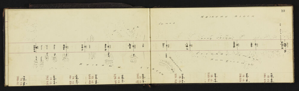 WN_0490-0010