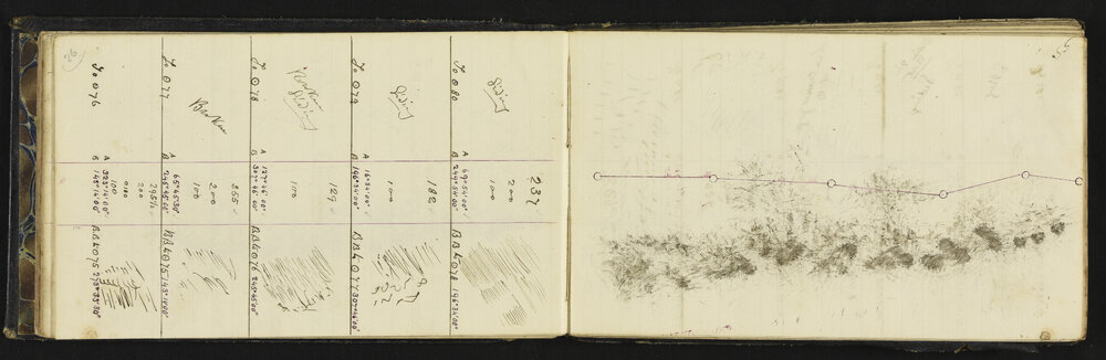 WN_0506-0034