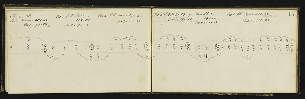 WN_0567-0007