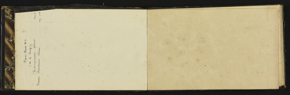 WN_0569-0003