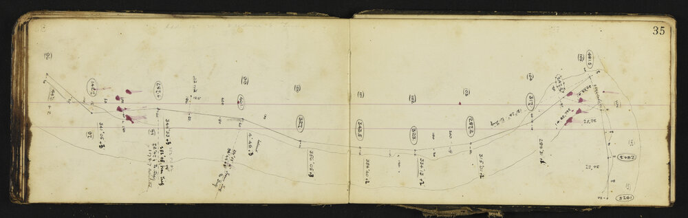 WN_0599-0039