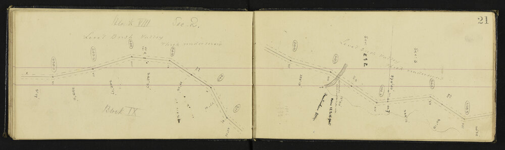 WN_0603-0017