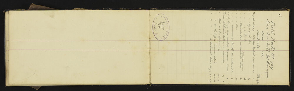 WN_0729-0033