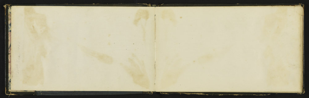 WN_0339-0003