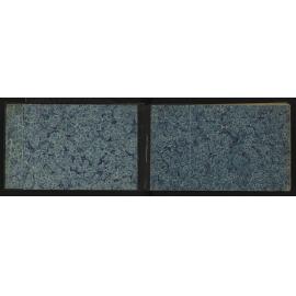 WN_2351-0002