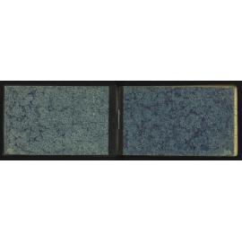WN_2354-0002