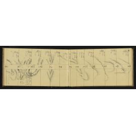 WN_0574-0017