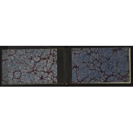 WN_2362-0002