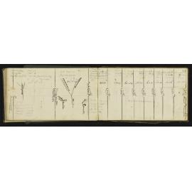 WN_0575-0035
