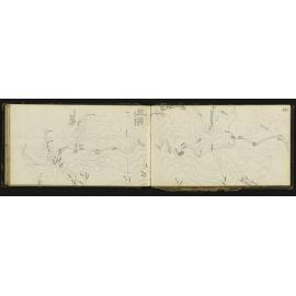 WN_0584-0044