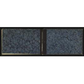 WN_2183-0031