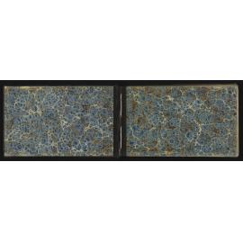 WN_2397-0002