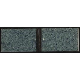 WN_2439-0002