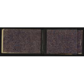 WN_2461-0031