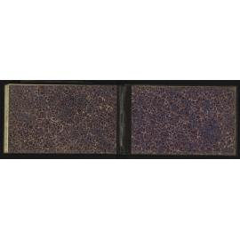 WN_2465-0027