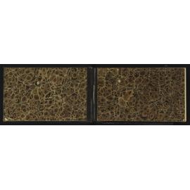 WN_2467-0002