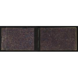 WN_2490-0002