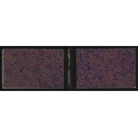 WN_2505-0021