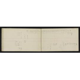 WN_2520-0031