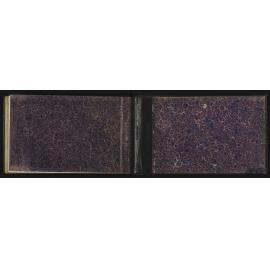 WN_2520-0038