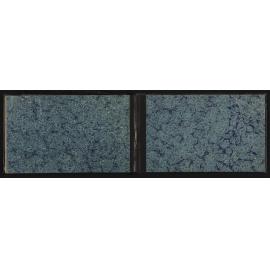 WN_2521-0022