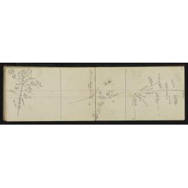 WN_2525-0040
