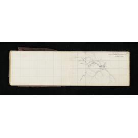 OT_0453_034